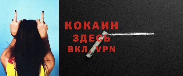 индика Абинск