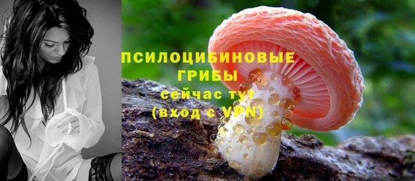 бошки Алзамай